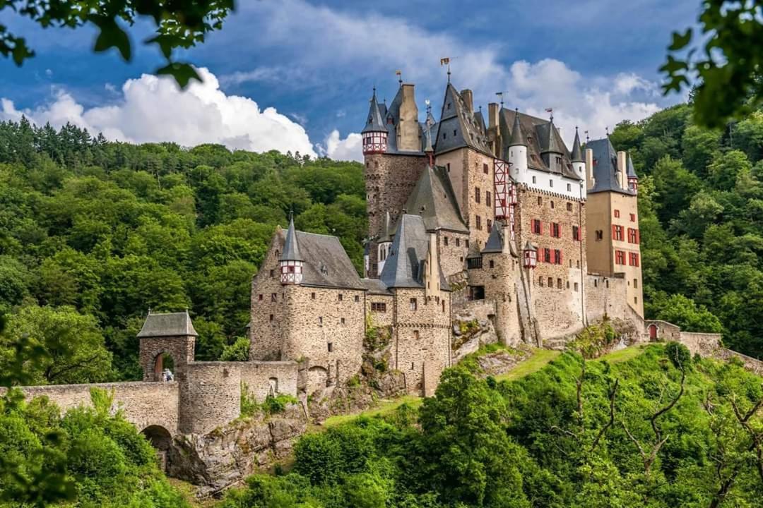 Traumwohnung auf idyllischem Reiterhof nähe Burg Eltz Münstermaifeld Exterior foto