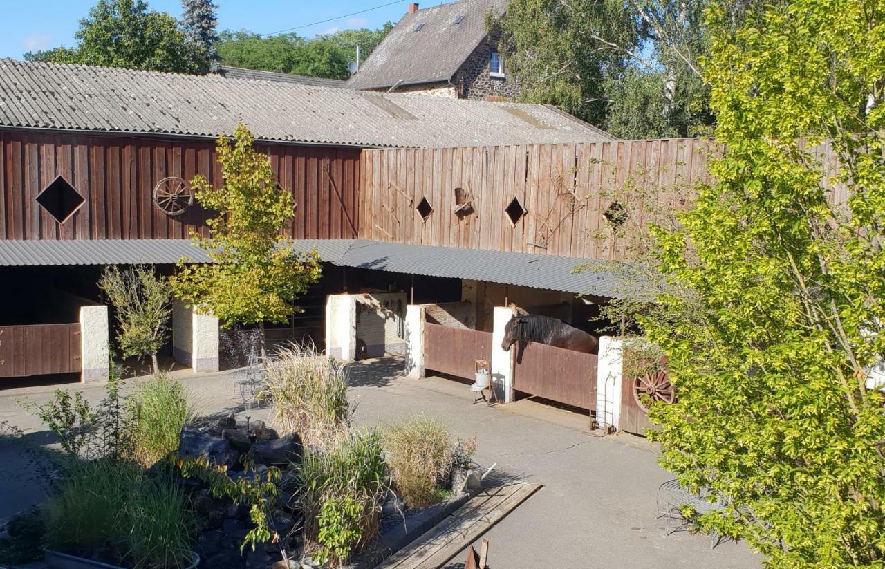 Traumwohnung auf idyllischem Reiterhof nähe Burg Eltz Münstermaifeld Exterior foto